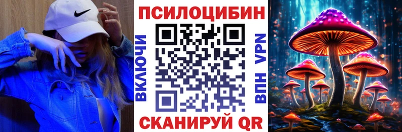 Псилоцибиновые грибы Psilocybe  Лабытнанги 